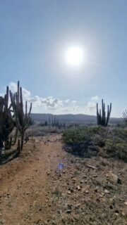 De plek kan veranderen, maar wat er in je speelt, beweegt met je mee.

Ik ben even in Nederland. Van het strand naar het bos. Andere lucht, andere stilte, andere energie … maar ergens ook precies hetzelfde.

Heerlijk ! Even niets hoeven, gewoon zijn 🤍