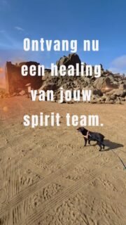 Er staat áltijd een heel spirit team om je heen (je gidsen, engelen, lichtwezens) klaar om de zwaarte van je schouders te nemen. Je hoeft er alleen maar even voor open te staan.

​Dus, zet je verstand op nul, leg je telefoon plat neer en sluit je ogen. Laat hen het werk maar even doen. Dit moment is speciaal voor jou.

En weet dat je deze 'oefening' op elk moment kan doen wanneer jij het nodig hebt. 

​Laat je me in de reacties weten hoe het voelde? 👇✨