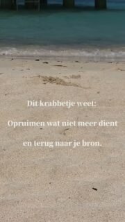 Soms hoef je het niet ver te zoeken. Kijk naar dit krabbetje: even naar buiten komen, oud zand en niet-werkende programma’s opruimen en loslaten... en daarna weer lekker naar binnen keren.

​Want al je antwoorden liggen niet ergens buiten je, die vind je gewoon vanbinnen.

🦀🐚

#akashakronieken 
#bewustzijn